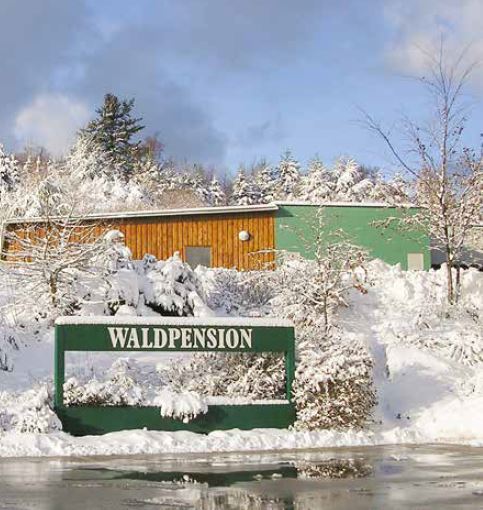 Schild mit Aufschrift "Waldpension" in Schneelandschaft und mit Haus im Hintergrund bei blauem Himmel